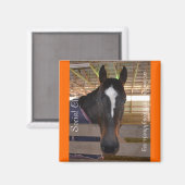 コレクタブルマグネットシリーズ – ソーシャルクラブ マグネット (正面/裏面)