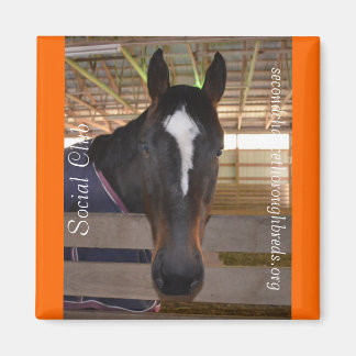 コレクタブルマグネットシリーズ – ソーシャルクラブ マグネット