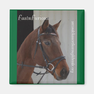 コレクタブルマグネットシリーズ – FastnSurgent マグネット