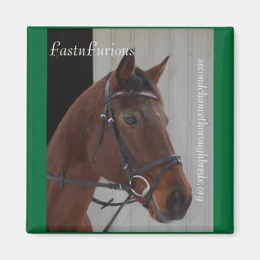 コレクタブルマグネットシリーズ – FastnSurgent マグネット (正面)