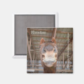 コレクタブルマグネットシリーズ – Navedano マグネット (正面/裏面)