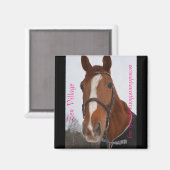 コレクタブルマグネットシリーズ – Zen Village マグネット (正面/裏面)