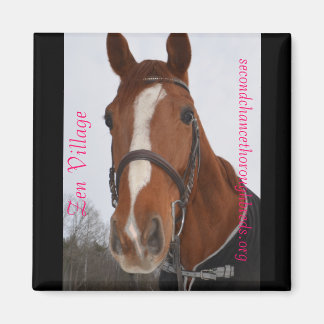 コレクタブルマグネットシリーズ – Zen Village マグネット