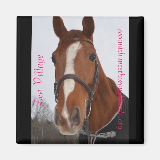 コレクタブルマグネットシリーズ – Zen Village マグネット (正面)