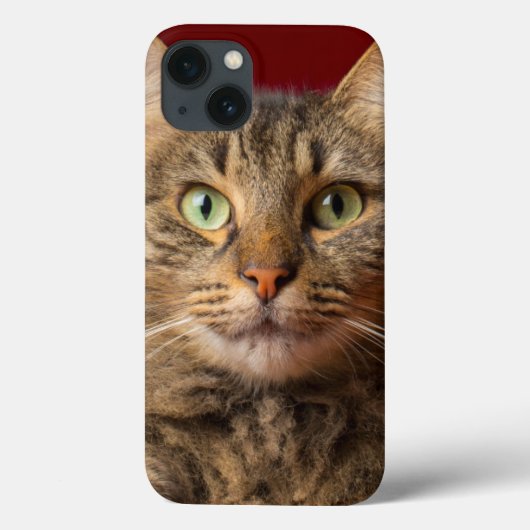 コレクターとのクリスマスのためのメインのあらいぐま Case-Mate iPhoneケース (裏面)