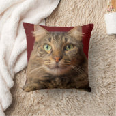 コレクターとクリスマスのためのメインのクーン クッション (ブランケット)