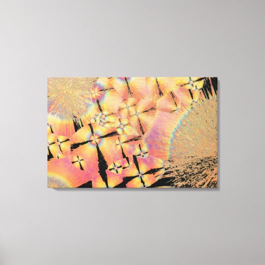 コレステロール結晶2 キャンバスプリント (正面)