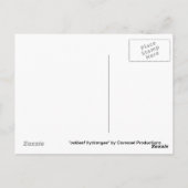 コレッセル・プロダクションの『oakleaf hydrangea』 ポストカード (裏面)