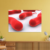 コレラ菌の概念像 キャンバスプリント (インサイチュ (リビング))