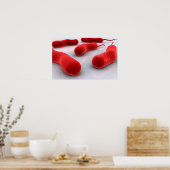 コレラ菌の概念像 ポスター (キッチン)