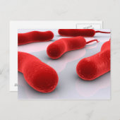 コレラ菌の概念像 ポストカード (正面/裏面)