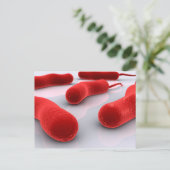 コレラ菌の概念像 ポストカード (スタンド正面)