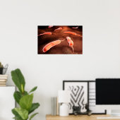 コレラ菌の概念図1 ポスター (ホームオフィス)