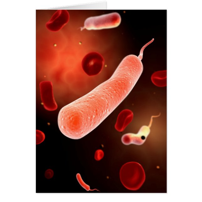 コレラ菌の概念図2 (正面)