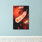 コレラ菌の概念図2 キャンバスプリント (インサイチュ (ウッドフロア))