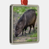 コレードペカリー歩くはがき メタルオーナメント (右)