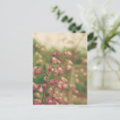 コレールベル、春の花 ポストカード (スタンド正面)