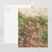 コレールベル、春の花 ポストカード (正面/裏面)