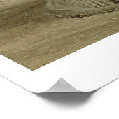 コレ姿はサンクトからCheramyesによって捧げられた ポスター (角)