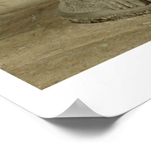 コレ姿はサンクトからCheramyesによって捧げられた ポスター (角)