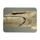 コレ姿はサンクトからCheramyesによって捧げられた マグネット (横)