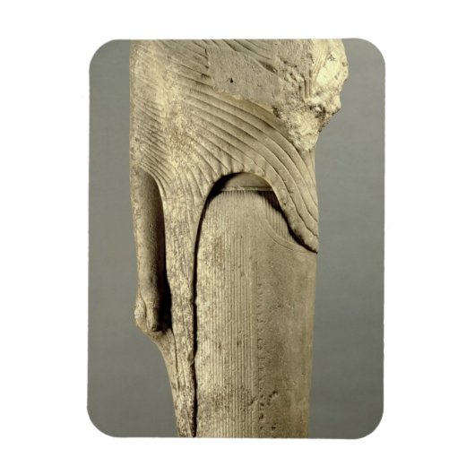 コレ姿はサンクトからCheramyesによって捧げられた マグネット (縦)