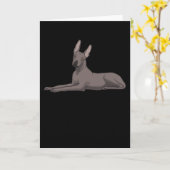 コロイツキンテル犬 カード (黄色い花)