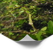 コロウ山脈 ポスター (角)