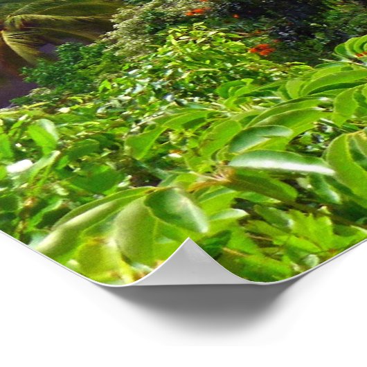 コロウ山脈 ポスター (角)