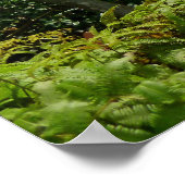 コロウ山脈 ポスター (角)