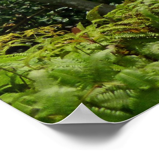 コロウ山脈 ポスター (角)