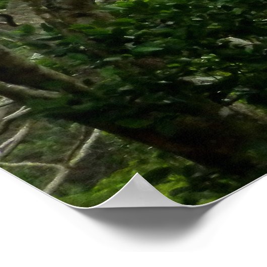 コロウ山脈 ポスター (角)