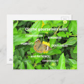 コロサイ3:12慈悲をもって身を閉じなさい ポストカード (正面/裏面)