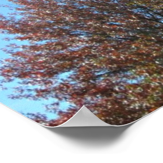 コロサイ3:17そして何をするにしても… ポスター (角)