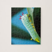 コロサミア州Prometheus Moth Caterpillar ジグソーパズル (縦)