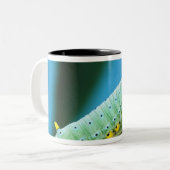 コロサミア州Prometheus Moth Caterpillar ツートーンマグカップ (正面左)