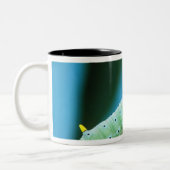 コロサミア州Prometheus Moth Caterpillar ツートーンマグカップ (左)