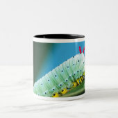コロサミア州Prometheus Moth Caterpillar ツートーンマグカップ (中央)