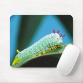 コロサミア州Prometheus Moth Caterpillar マウスパッド (マウス)