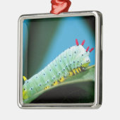 コロサミア州Prometheus Moth Caterpillar メタルオーナメント (左)
