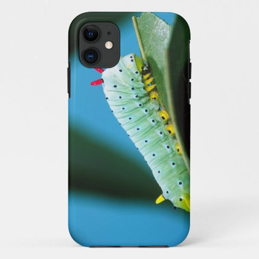 コロサミア州Prometheus Moth Caterpillar Case-Mate iPhoneケース (裏面)