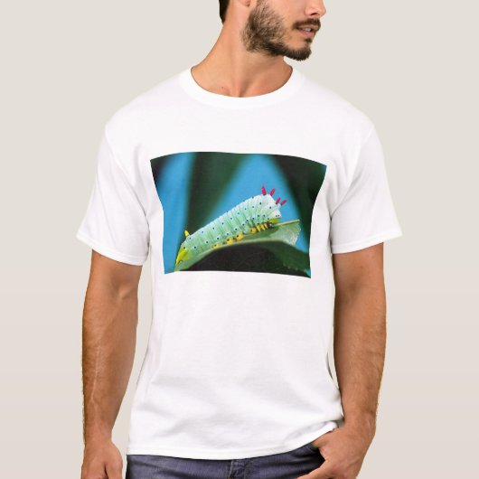 コロサミア州Prometheus Moth Caterpillar Tシャツ (正面)