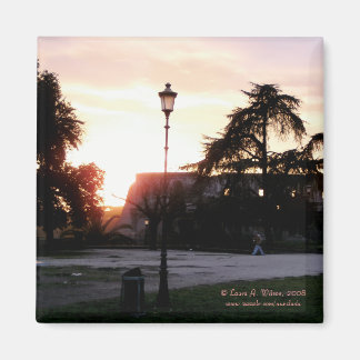 コロシアムアットサンセット マグネット