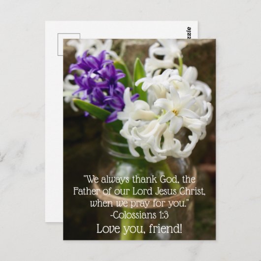 コロシアン1:3ヒヤシンスの葉書 ポストカード (正面/裏面)