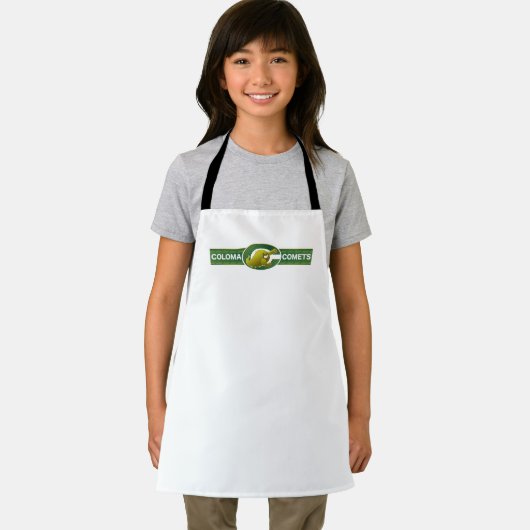 コロッマ彗星 エプロン (インサイチュ)