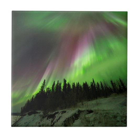 コロナのオーロラ タイル (正面)