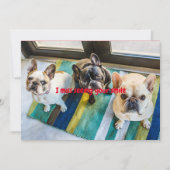 コロナウイルス挨拶 (正面)