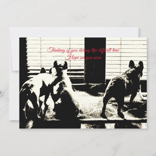 コロナウイルス挨拶 (裏面)