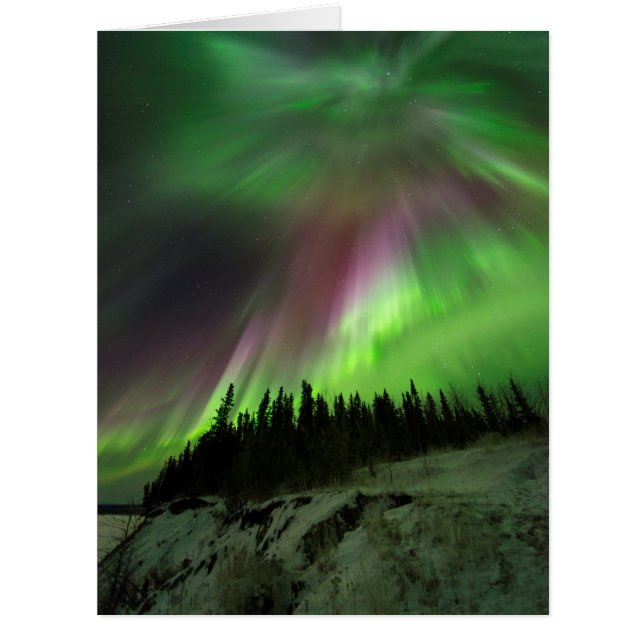 コロナオーロラ (正面)