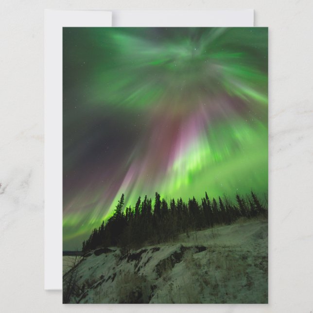 コロナオーロラ (正面)